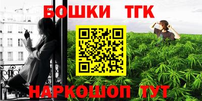 крисы Бийск