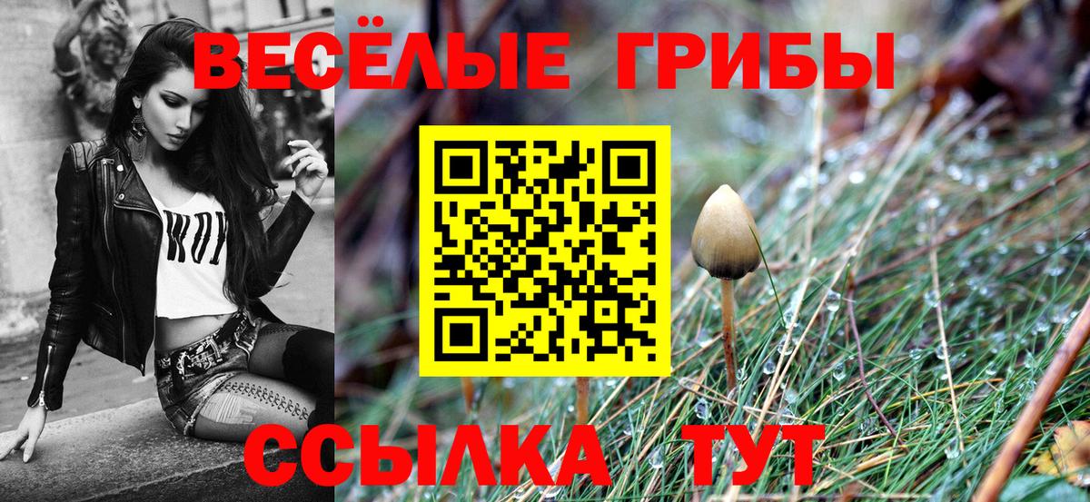 Галлюциногенные грибы мицелий Когалым
